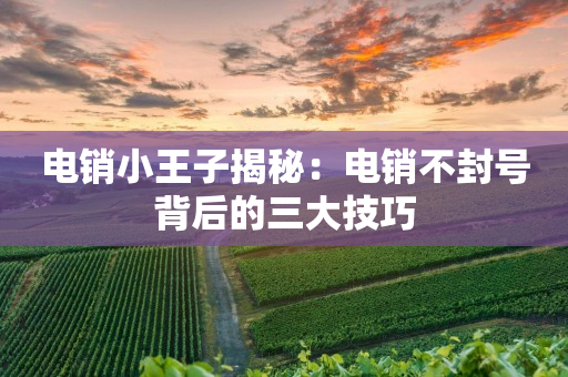 电销小王子揭秘：电销不封号背后的三大技巧